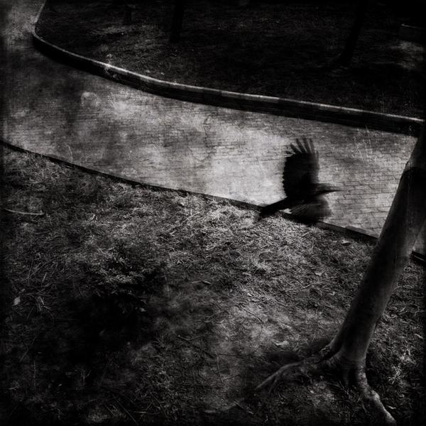 ddos压力测试平台